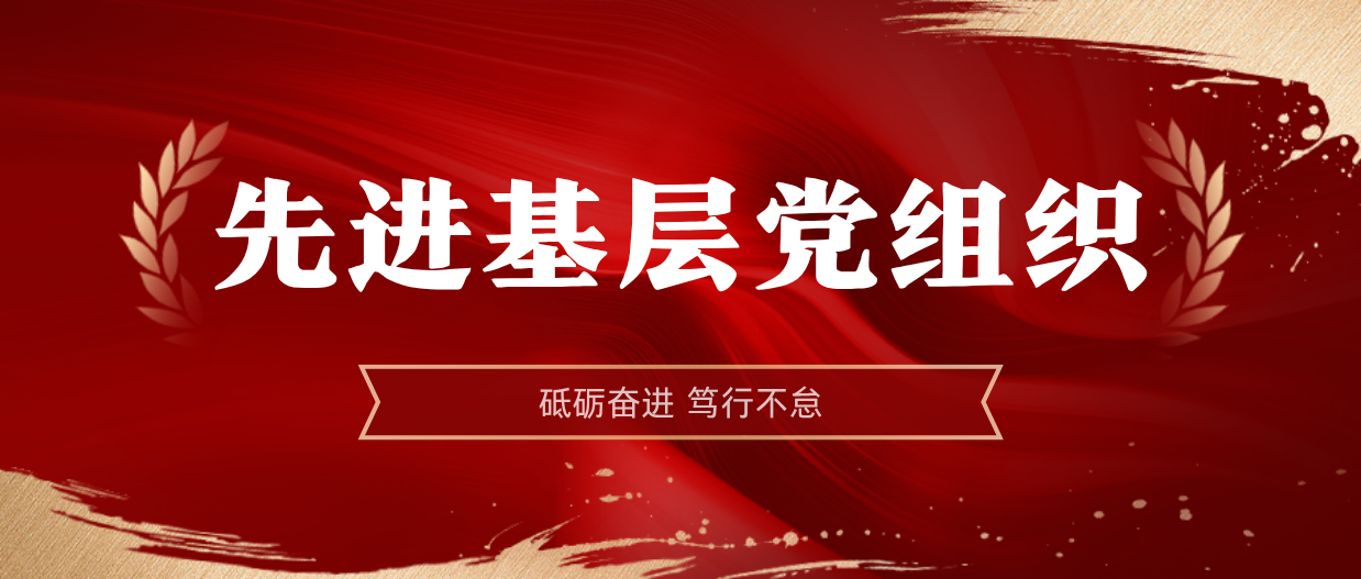 ����ģ������ | ��˹��2024-2025����Ƚ��²㵳��֯